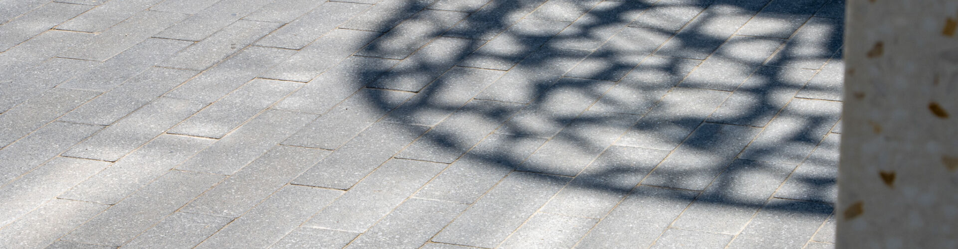 SKY Towers, Oostende