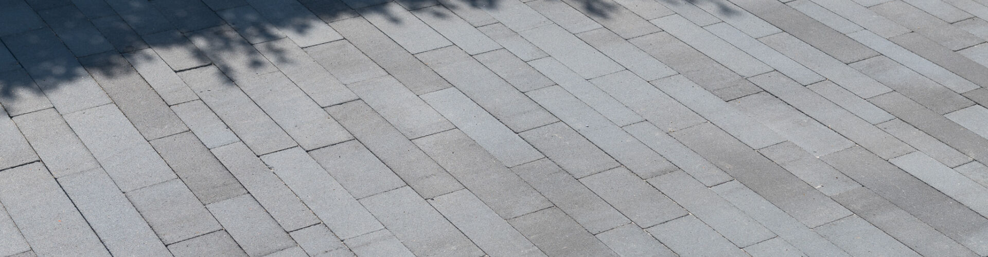 Ligna Design®