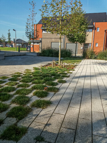 20211008 111949 resized