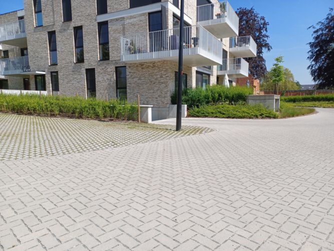 2023 Hamme park kerkwijck 6