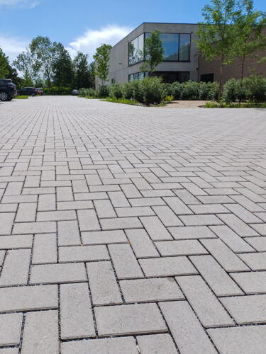 2026 Permara 22x11 1