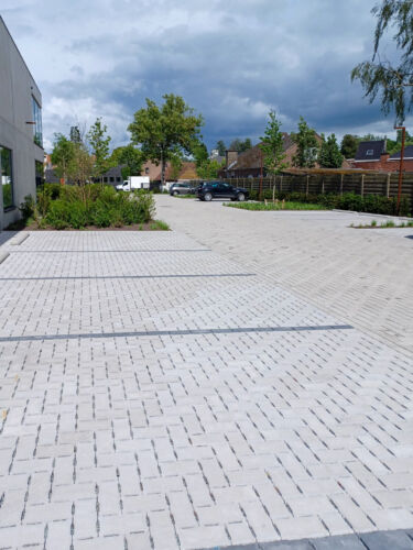 2026 Permara 22x11 9