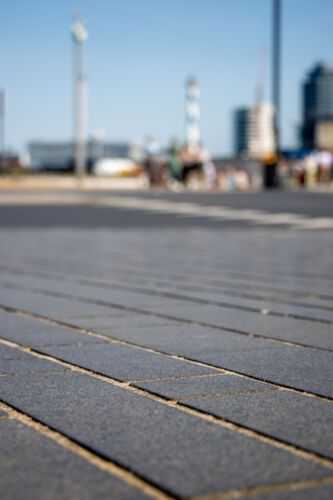 IMG 4677