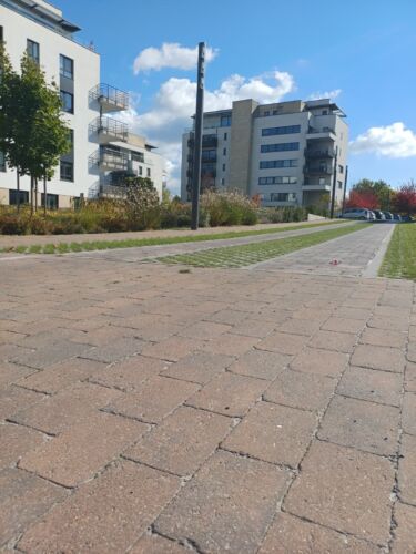 Whats App Image 2026 01 16 at 10 06 54 3