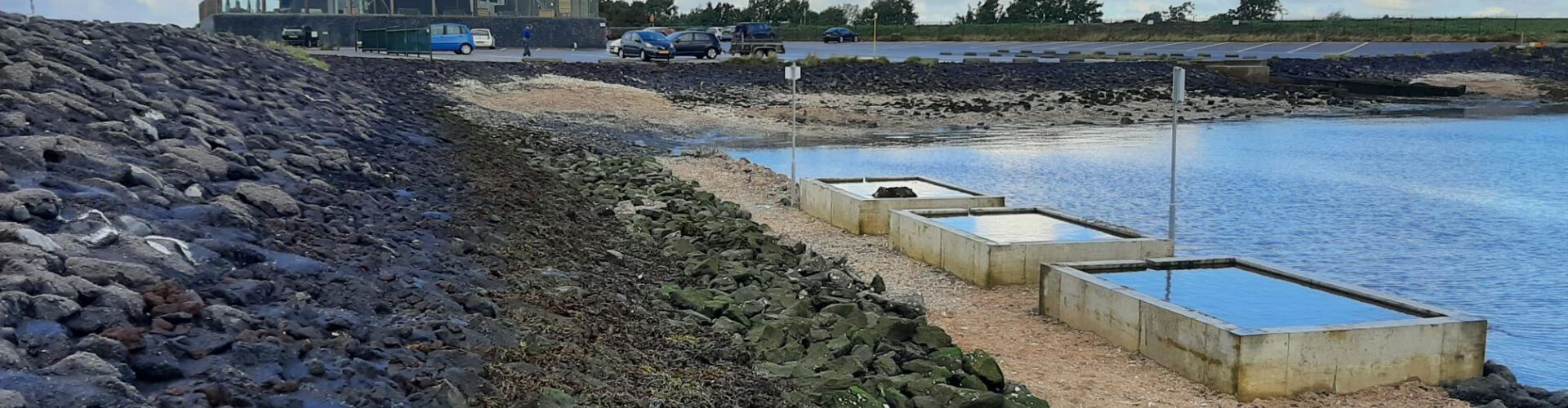 Bleijko a installé en collaboration avec l'Association Nature Tholen trois bassins en béton à marée à Gorishoek et Scherpenisse.